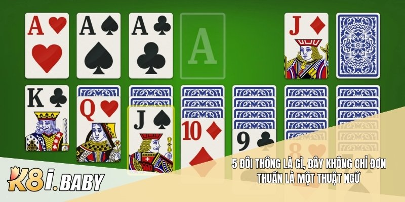 5 đôi thông là gì, đây không chỉ đơn thuần là một thuật ngữ