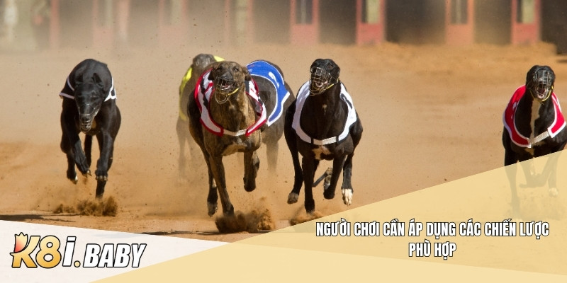 Người chơi cần áp dụng các chiến lược phù hợp