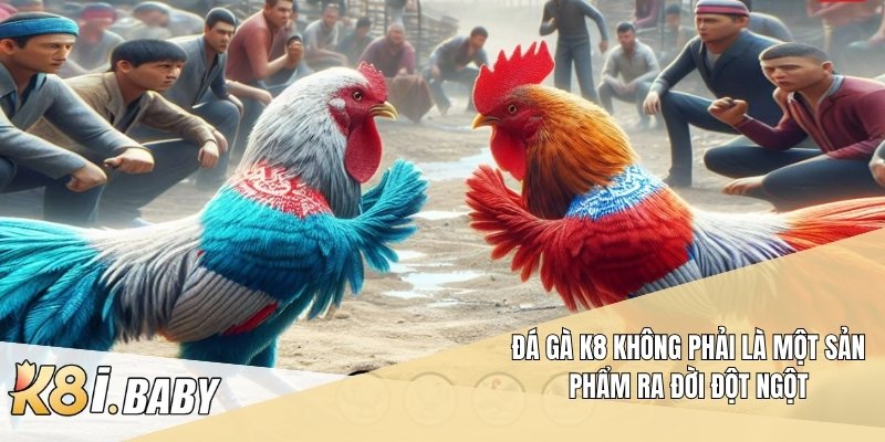 Đá gà k8 không phải là một sản phẩm ra đời đột ngột