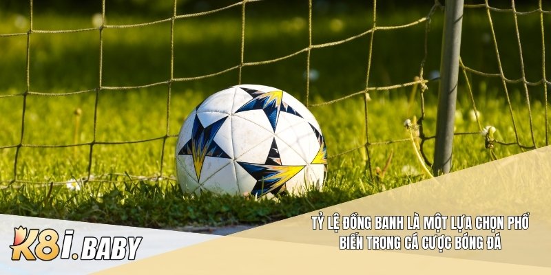 Tỷ lệ đồng banh là một lựa chọn phổ biến trong cá cược bóng đá