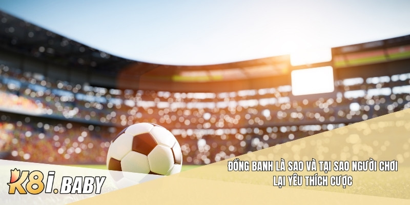 Đồng banh là sao và tại sao người chơi lại yêu thích cược