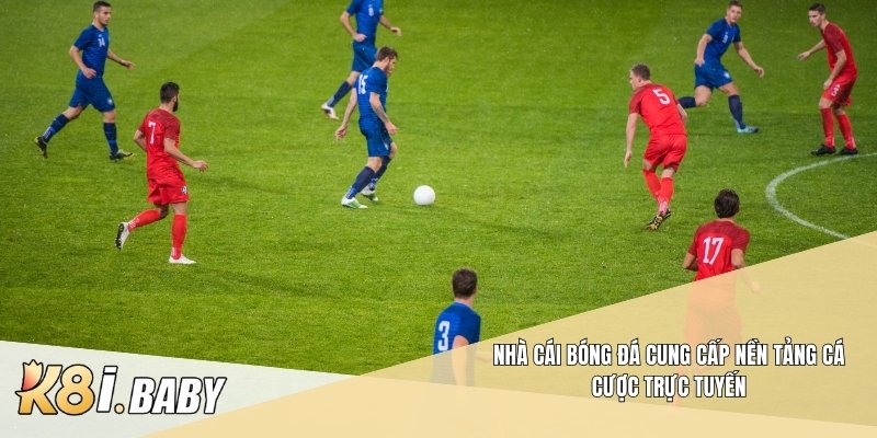 Nhà cái bóng đá cung cấp nền tảng cá cược trực tuyến
