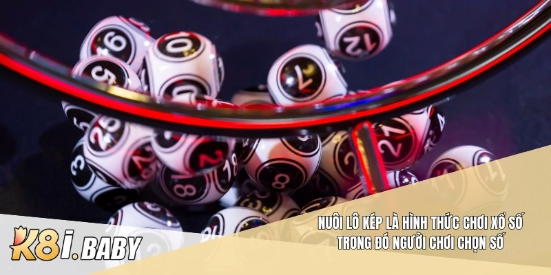 Nuôi lô kép là hình thức chơi xổ số trong đó người chơi chọn số
