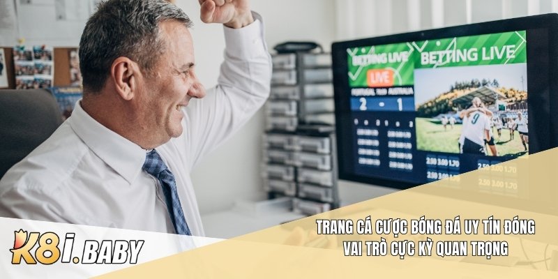 Trang cá cược bóng đá uy tín đóng vai trò cực kỳ quan trọng